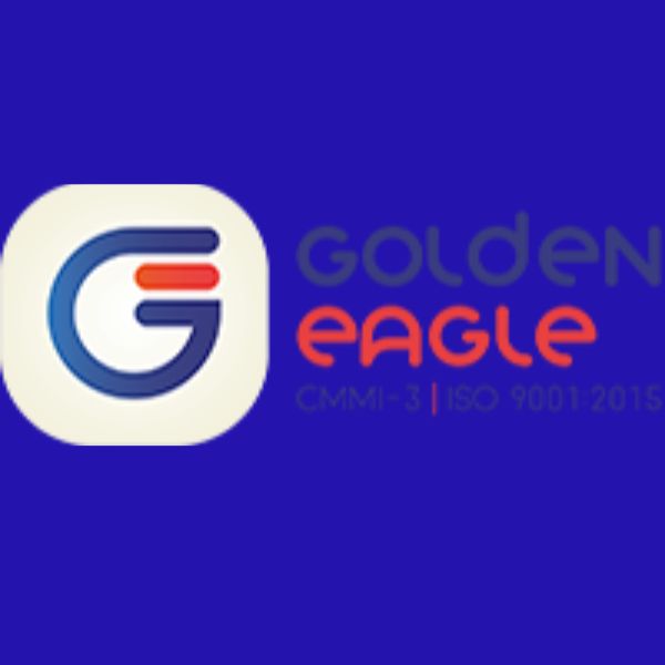 Software Developer