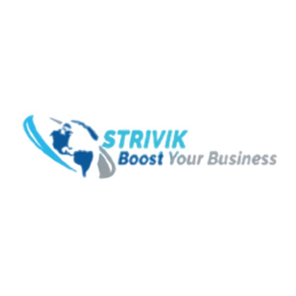 STRIVIK BUSINESS SOLUTIONS PVT LTD