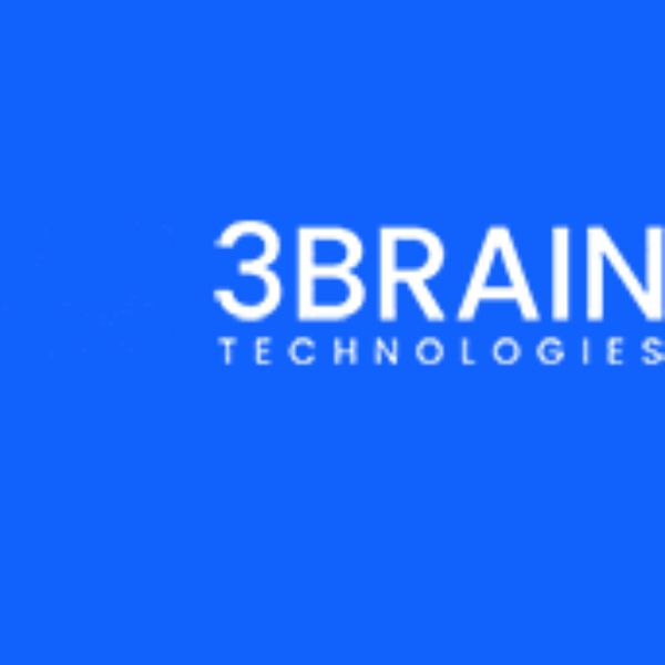 3 Brains Technologies Pvt.Ltd