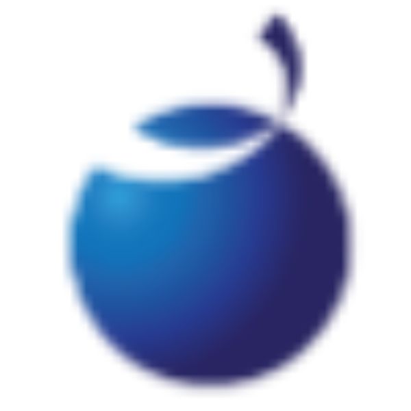 The Glassberry IT Solutions Pvt. Ltd.