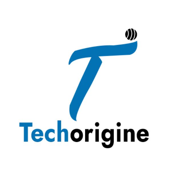 Techorigine IT Solution