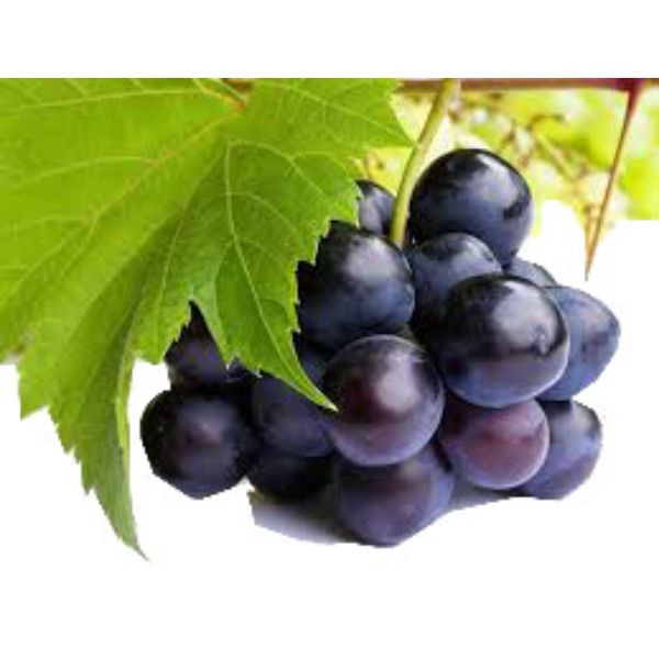 Black Grapes Softech